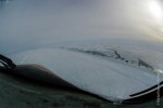 Ice Shelf, Sea Ice