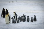 Sea Ice travel classes