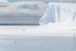 Where Ice Shelf meets the sea