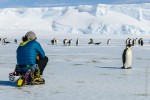Al talking to an Emperor Penguin