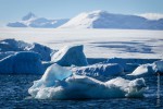 Icebergs in the Bay