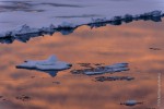 Sunset in Antarctic waters