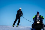 Skijoring