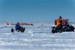 Skijoring