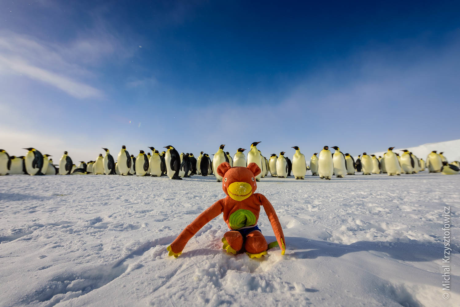 Asystent with Emperor Penguins