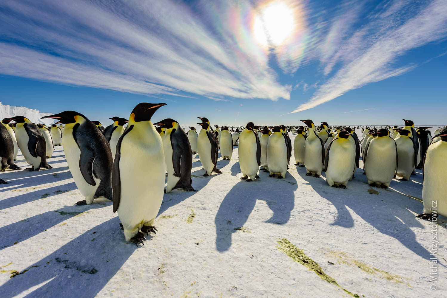 Solar Corona over Emperor Penguins