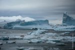 Ice Bergs in the South Cove in Rothera